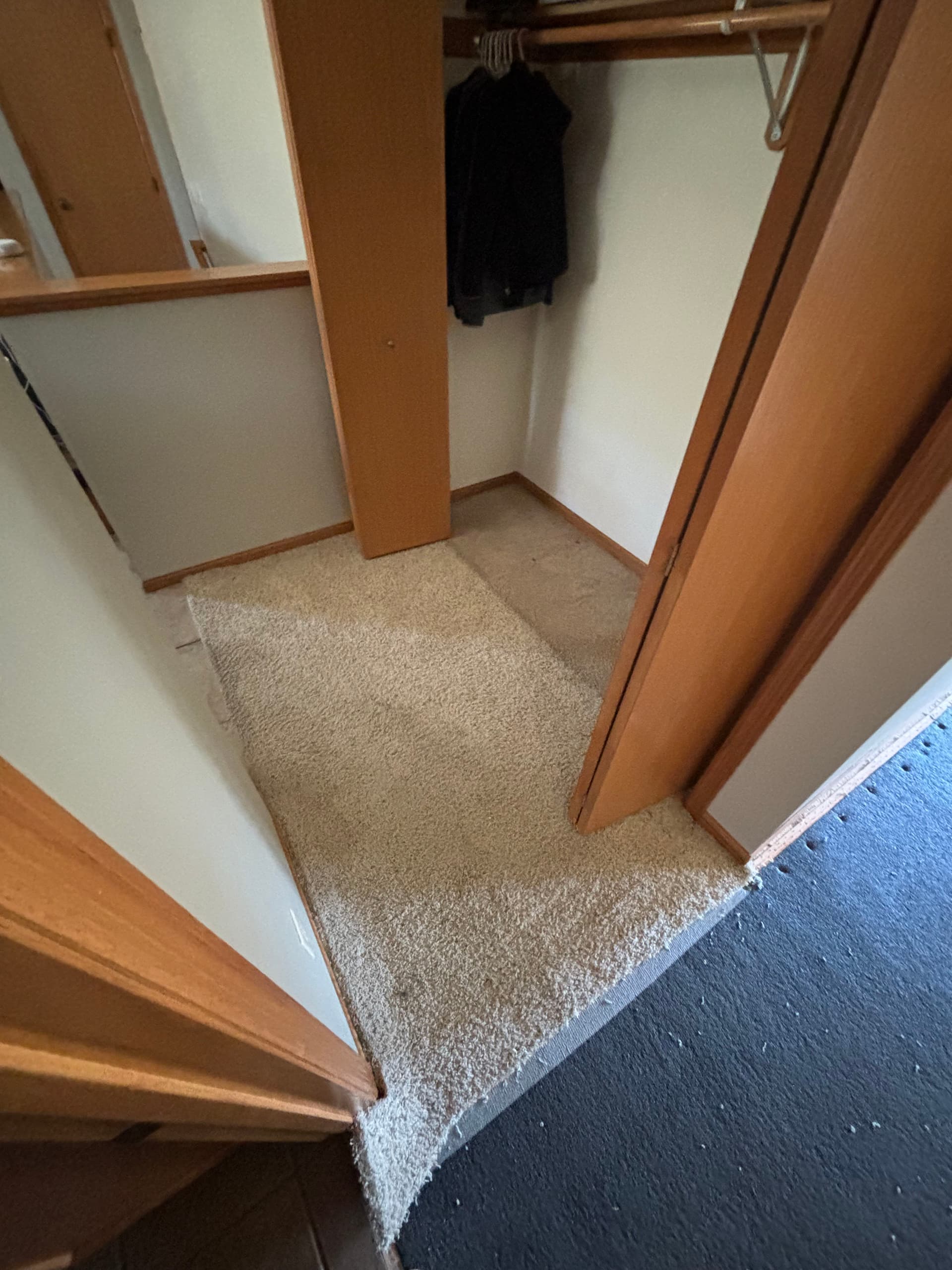 Gallery photos for Carpet Removal and Luxury Vinyl Plank Installation for a Busy Family Home: Image #2