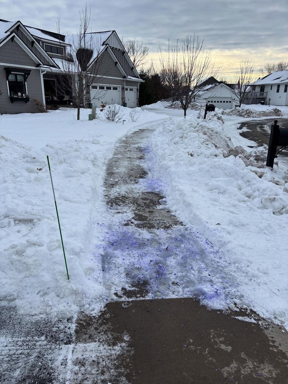 Snow-covered sidewalk with purple markings, bordered by snowbanks and suburban houses.
