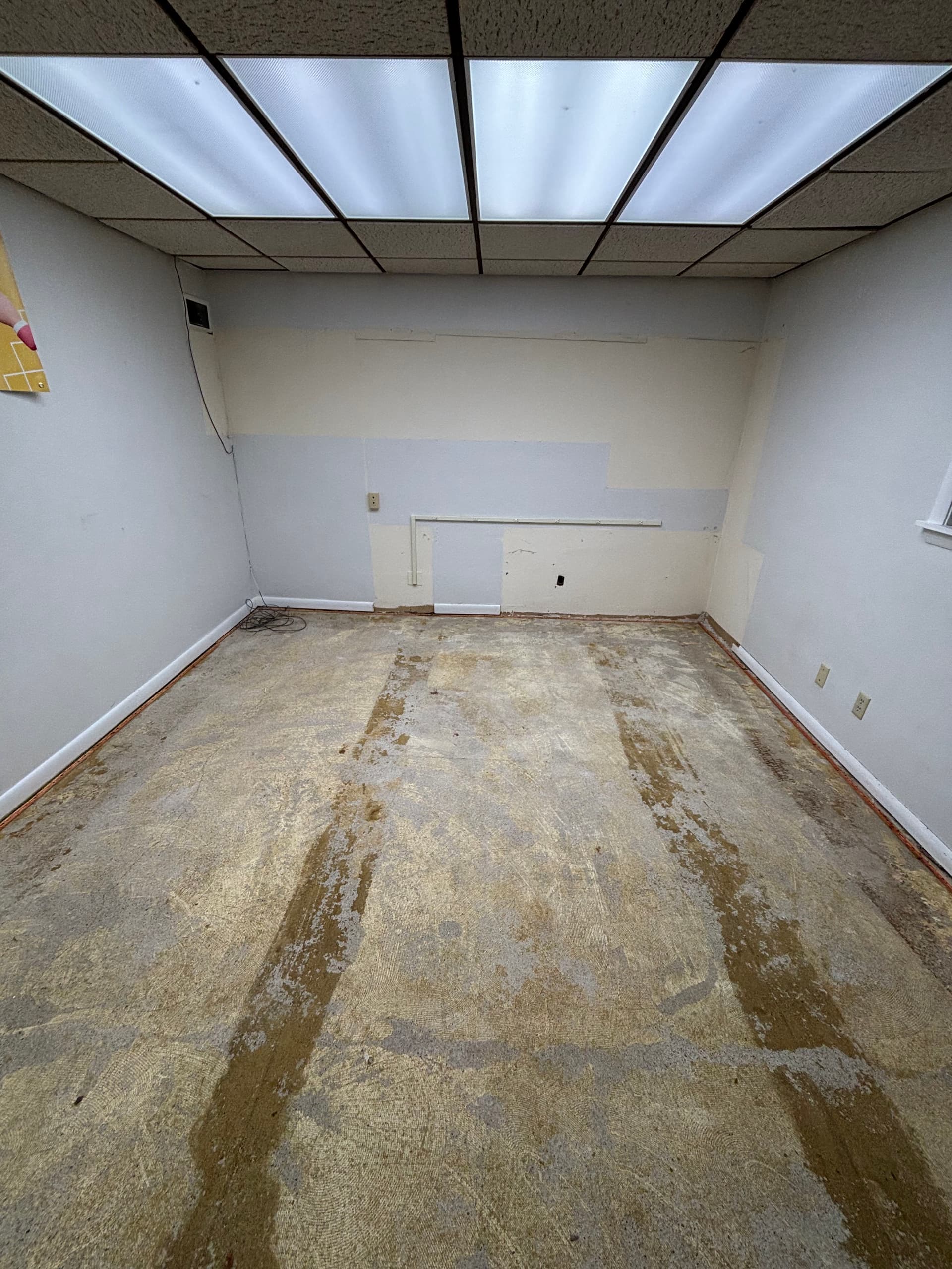 Gallery photos for Office Renovation Flooring Upgrade: Image #3